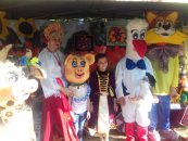 Пресс-релиз  о проведении (дистанционно) творческой встречи  театральных кукольных коллективов Республики Адыгея